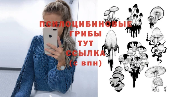 кристаллы Алзамай