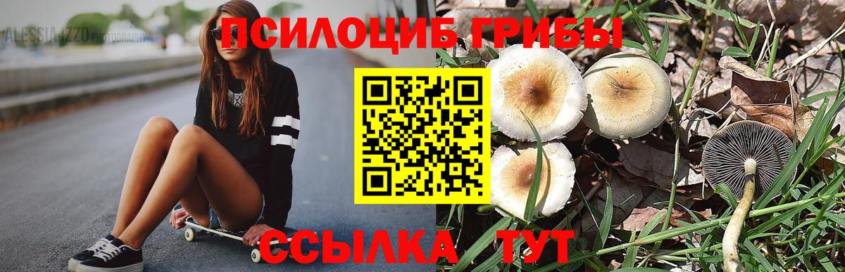 Галлюциногенные грибы Cubensis Качканар